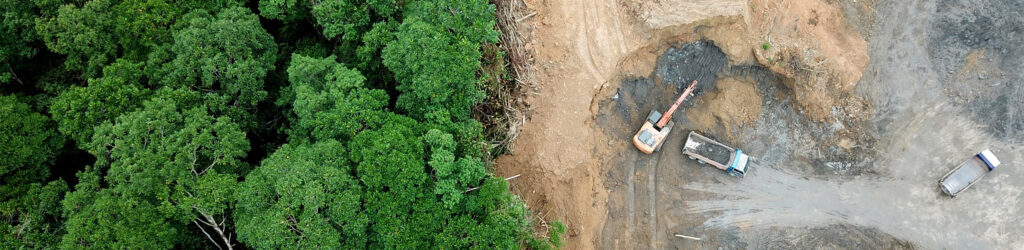 Green niche landscape image