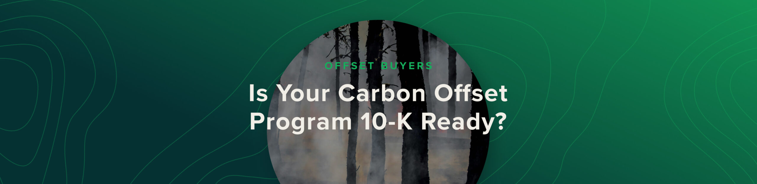 Carbon Offset 10-K Ready blog