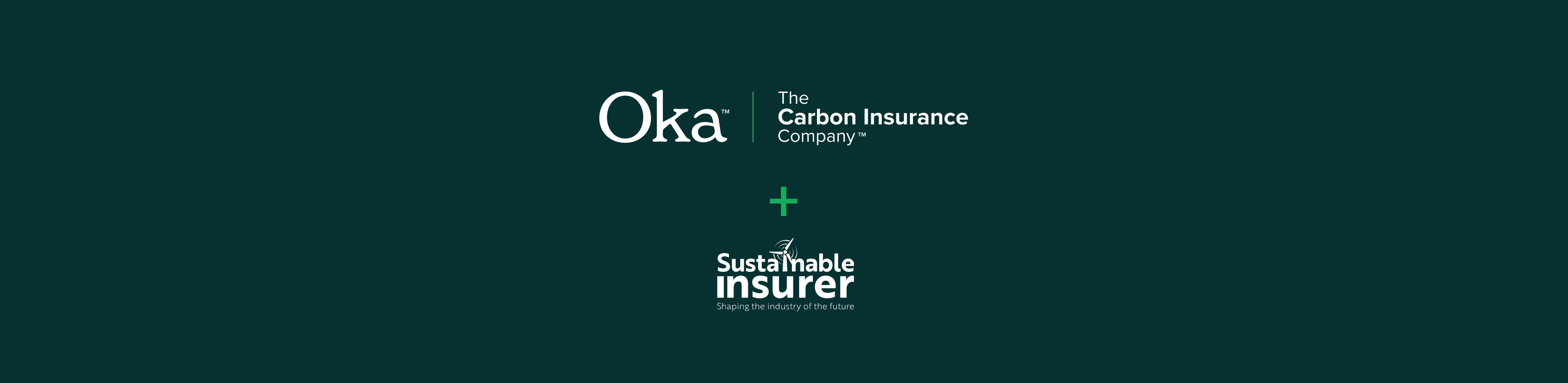 sustainable insurer interview blog