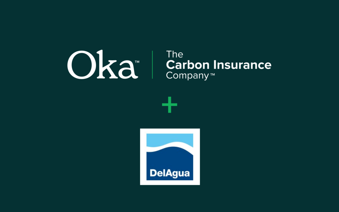 Oka Works With DelAgua to Guarantee Its CORSIA-Eligible Credits