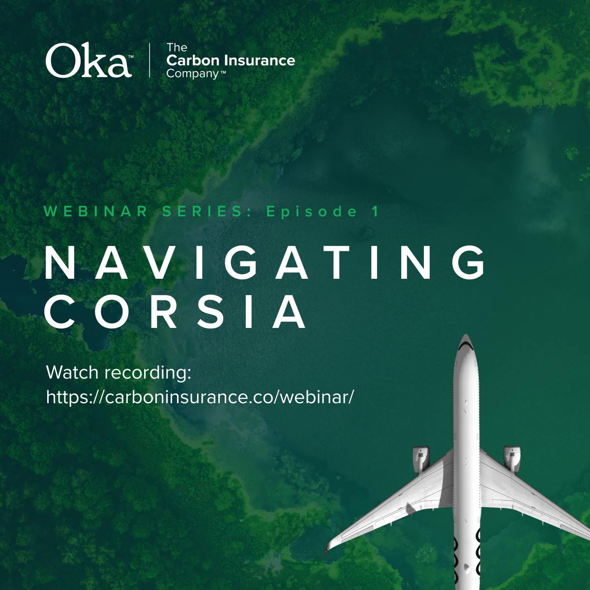 Learn more Navigating CORSIA Webinar