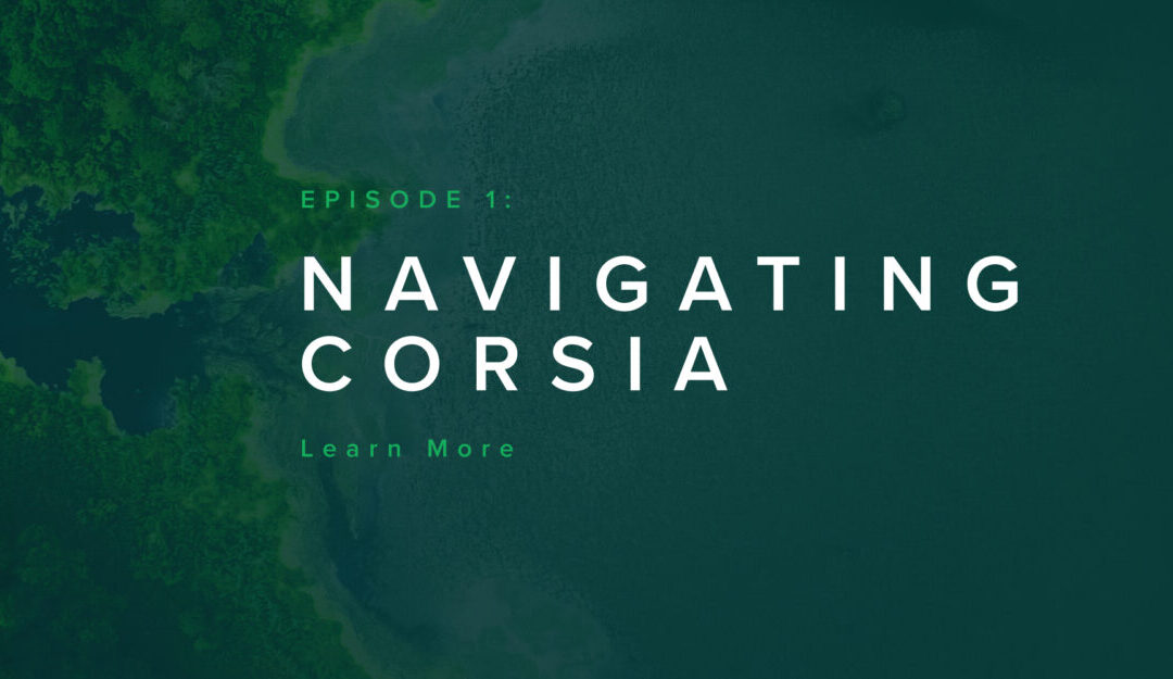 LEARN MORE: Curious about selling into CORSIA?