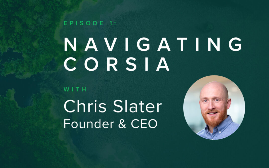 Navigating CORSIA: A Five-Step Plan for Developers