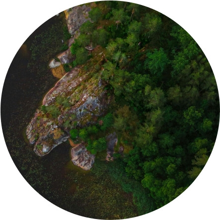 ocean coastline from above